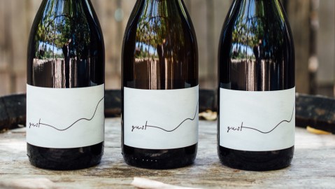 Gust 2017 Syrah Petaluma Gap，Sonoma县